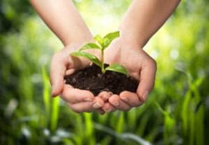 Benefits of Organic Farming